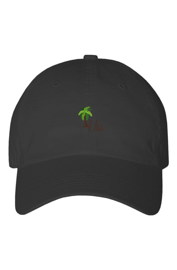 Youth Dad Hat